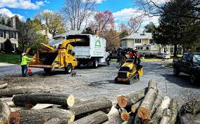 Best Lawn Watering Services  in Walnut Hill, TN